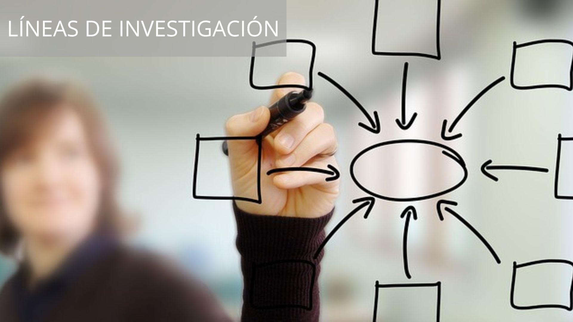 Líneas de investigación